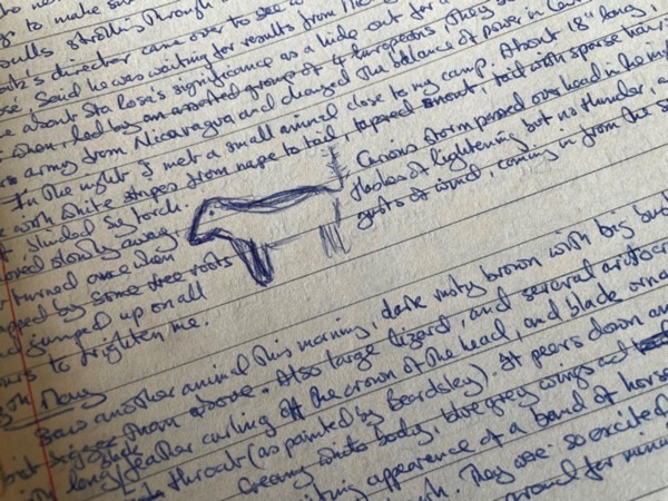 Bad drawing of strange jumping animal